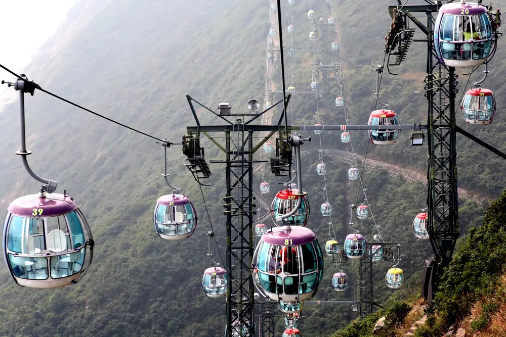 Full Day Ocean Park Tour