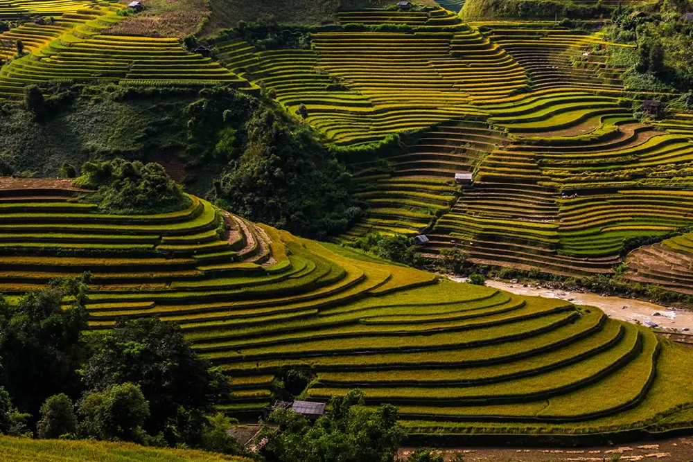 School Group Adventure